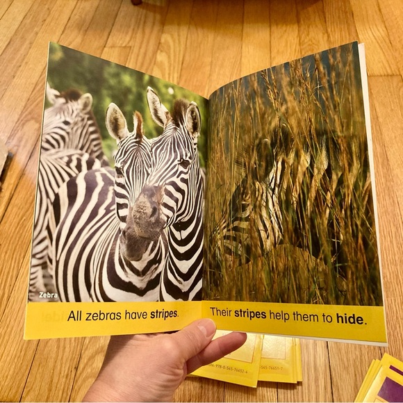 🎉HP🎉 Scholastic National Geographic Kids 12 Book Phonics Animals Box Set - Picture 8 of 11